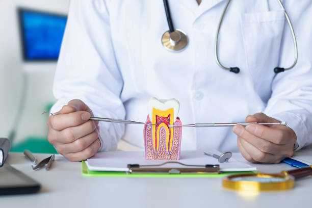 Best Knocked-Out Tooth (Avulsed Tooth) Treatment in Abram, TX